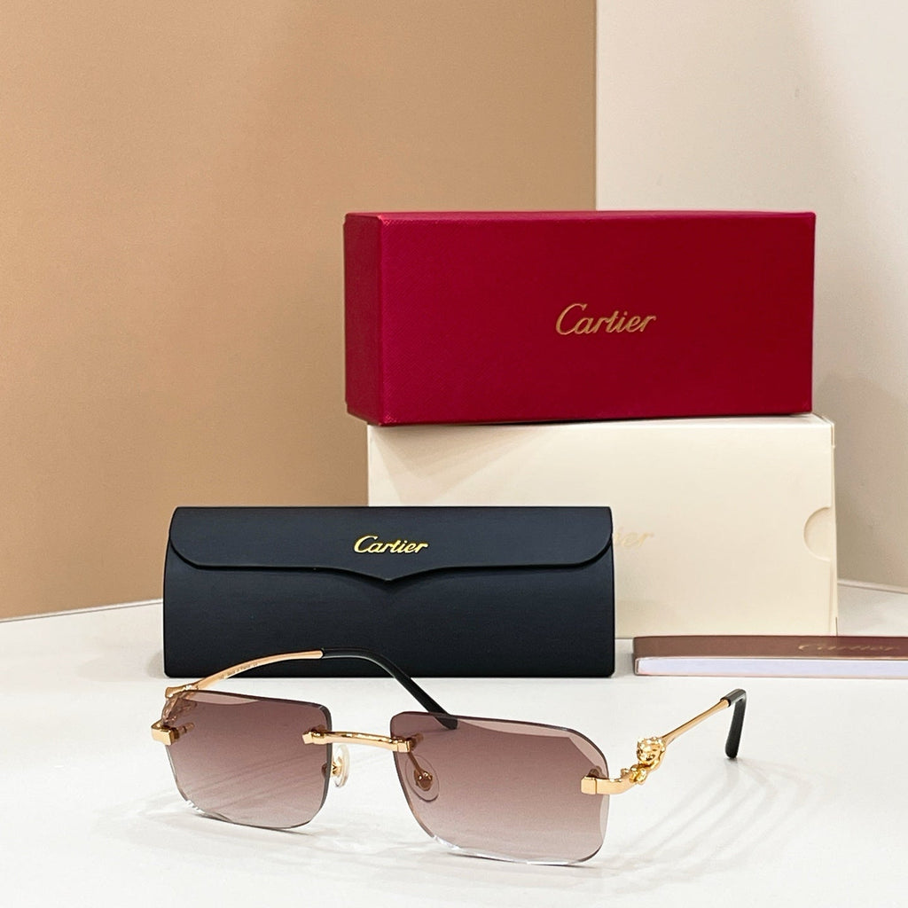 Cartier CT0281O Eyeglasses